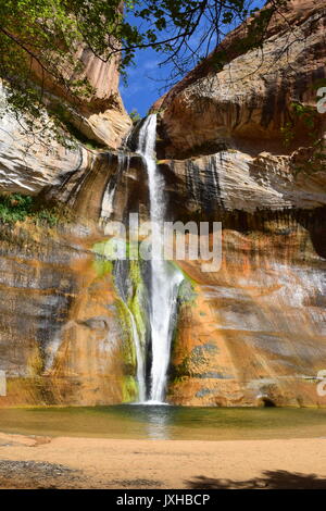 Veau inférieur Creek Falls, Grand Staircase-Escalante National Monument, près de Boulder, Utah, USA Banque D'Images