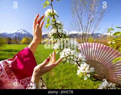 Femme en kimono rose fleurs de cerisier en fleurs toucher par ses mains. Concept de la campagne de printemps. Banque D'Images