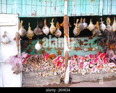 Les coquillages souvenirs quelque part en République Dominicaine Banque D'Images