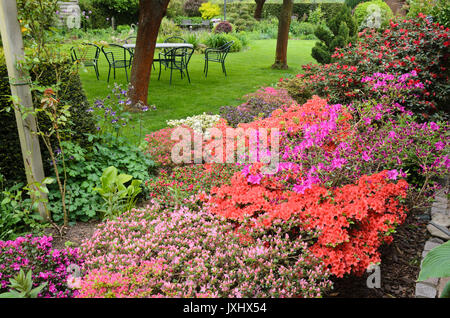 Azalées (rhododendron) dans un jardin de vivaces. design : Marianne et detlef lüdke Banque D'Images