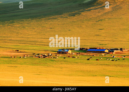 Hulun Buir paysage de prairies de la Mongolie intérieure Banque D'Images