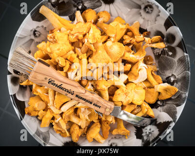 Une assiette de champignons girolles fraîchement cueillies avec un couteau champignons prête pour la cuisson Banque D'Images
