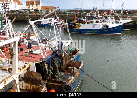 Bateaux de pêche aux côtés de Pittenweem port. Fife Scotland UK Banque D'Images