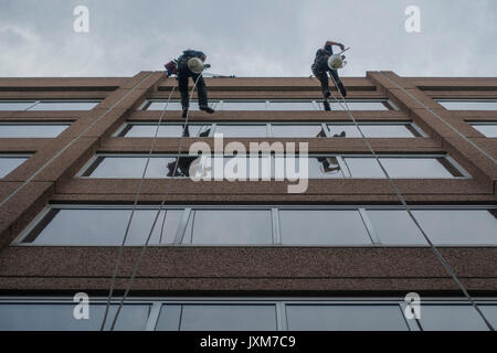 Deux hommes bureau nettoyage windows high up Banque D'Images