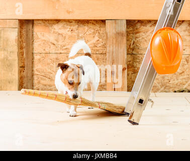 Des Chiens-de-chaussée et de nettoyage avec un balai at construction site Banque D'Images