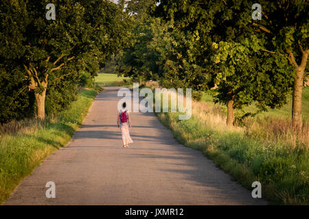 Route asphaltée menant entre les arbres. Au milieu de la route personne seule. Saison de l'été Banque D'Images