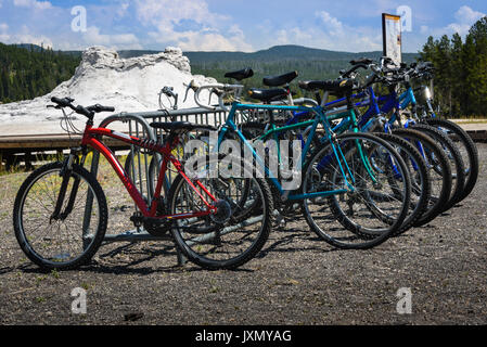 Des vélos sur un rack, disponible à la location. Le parc national de Yellowstone, États-Unis Banque D'Images