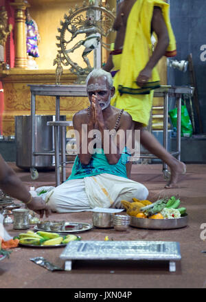 Singapour - Le 21 février 2016 : vieil homme parying Sri Veeramakaliamman temple hindou à l'intérieur, Little India district Banque D'Images