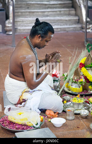 Singapour - Le 21 février 2016 : prêtre hindou Sri Veeramakaliamman parying en temple, district de Little India Banque D'Images