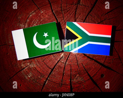 Le Pakistan drapeau avec drapeau sud-africain sur une souche isolée Banque D'Images