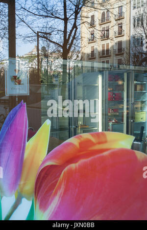 La réflexion d'un bâtiment dans une vitrine dans la rue constitucion, Grenade, Andalousie, espagne Banque D'Images