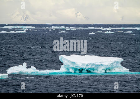 L'antarctique - Non-Tabular - iceberg Iceberg en forme de pinacle dérive dans l'Océan - l'Antarctique dans un jour nuageux Banque D'Images