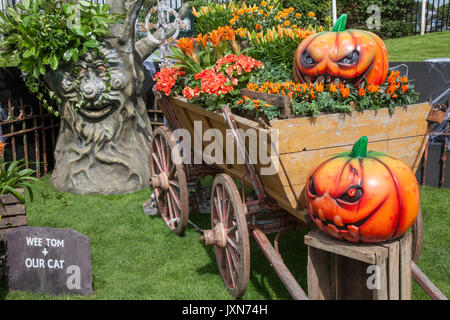 Visages de citrouille peints à Southport, Merseyside, Royaume-Uni.novembre, 2014.Visages de citrouille peints sur les chaussures à Happy Halloween.Le dernier jour d'ouverture de la saison a vu une myriade de personnages peinture citrouilles, peinture citrouille, art citrouille, idées de citrouille, artisanat de citrouille,Citrouilles en bois, citrouilles sculptées, visages de citrouilles peints, citrouilles exposées. Banque D'Images
