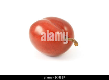 Une prune rouge mûr avec manette, isolé sur fond blanc Banque D'Images