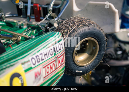 Belgorod (Russie) - 13 août : respecté dans l'herbe sèche, les pilotes volant non identifié en compétition sur la piste à la série sports karting Rotax Max Tasse RAF, le 13 août 2017 à Belgorod (Russie). Banque D'Images