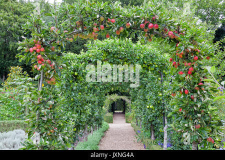 Pomme verte et rouge au-dessus d'un passage de passerelle en pierre menant à un portail, en été, un jardin de fruits et légumes dans une campagne anglaise . Banque D'Images