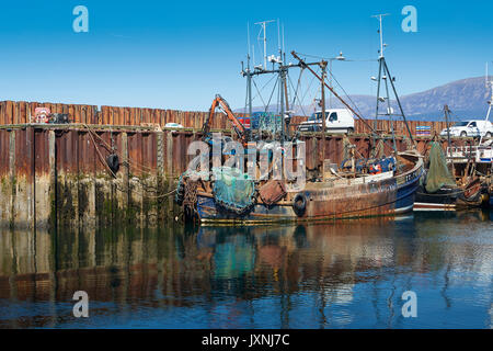 La pêche commerciale des bateaux amarrés dans le port de Carradale, Kintyre en Écosse. Banque D'Images