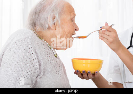 Close-up de l'alimentation à la main du médecin à soupe Patient In Hospital Banque D'Images