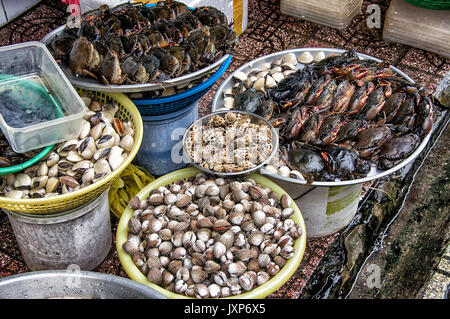 L'Escargot et les crabes à vendre dans un marché en plein air à Hanoi, Vietnam. Banque D'Images