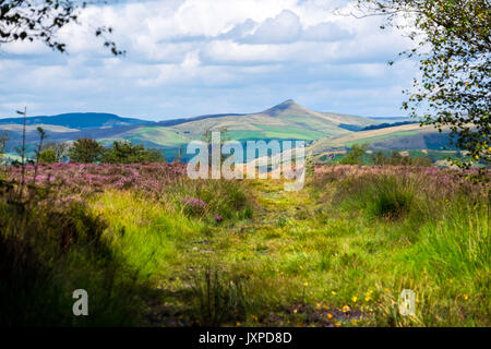 Vue vers Shutlinsloe and Wildboarclough ci-dessus dans le parc national de Peak District, vus de l'Gradbach zone du Staffordshire Moorlands Banque D'Images