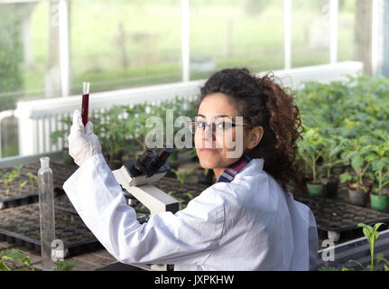 Young woman holding test tube biologiste avec des produits chimiques en face de microscope et pousse en serre. Concept de la protection des végétaux Banque D'Images