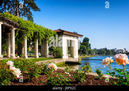 Oakland, Californie, Lake Merritt, rose arbor pergola Banque D'Images