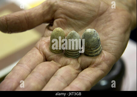 Marietta, GA, USA. Août 13, 2011. Cent cinquante ans après le premier obus sont tombés sur Fort Sumter dans Charleston, S.C., souvenirs de guerre civile demeure une entreprise lucrative dans le sud.à cette guerre civile à l'ancienne et de montrer la relique à Marietta, Ga, à quelques kilomètres de la célèbre Kennesaw Mountain National Battlefield Park, collectionneurs, amateurs d'histoire et les curieux se promenaient dans les allées de mousquets, des cantines, des épées, des boutons d'uniforme et d'obus à trouver plus de rappels de 'la fin des désagréments pour leurs collections. Sur la photo : des balles de mousquet à partir de début des années 1860 qui ont été produits i Banque D'Images