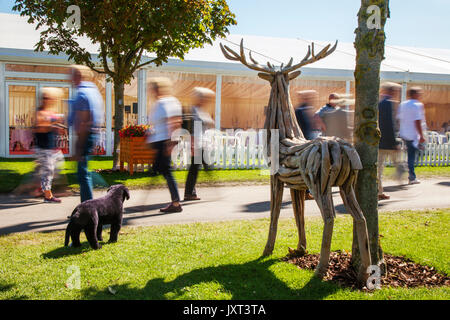 Southport, Merseyside, Royaume-Uni. Août 17, 2017. Jour d'ouverture de Southport Flower Show comme exposants, concepteurs, jardin floral et expositions Bienvenue à l'arrivée de jusqu'à 80 000 visiteurs attendus à ce célèbre événement annuel. /AlamyLiveNews MediaWorldImages crédit ; Banque D'Images