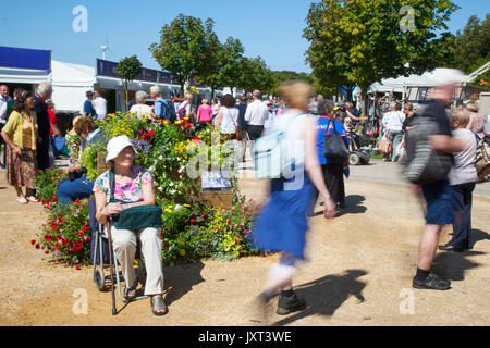 Southport, Merseyside, Royaume-Uni. Août 17, 2017. Jour d'ouverture de Southport Flower Show comme exposants, concepteurs, jardin floral et expositions Bienvenue à l'arrivée de jusqu'à 80 000 visiteurs attendus à ce célèbre événement annuel. /AlamyLiveNews MediaWorldImages crédit ; Banque D'Images