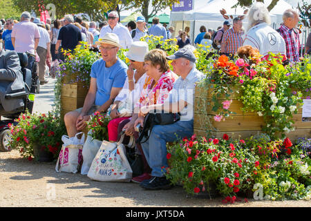 Jardin floral place à Southport, Merseyside, Royaume-Uni. Août 17, 2017. Jour d'ouverture de Southport Flower Show comme exposants, concepteurs, jardin floral et expositions Bienvenue à l'arrivée de jusqu'à 80 000 visiteurs attendus à ce célèbre événement annuel. Les visiteurs fatigués, épuisés par l'exécution des achats, assis sur un banc. Banque D'Images