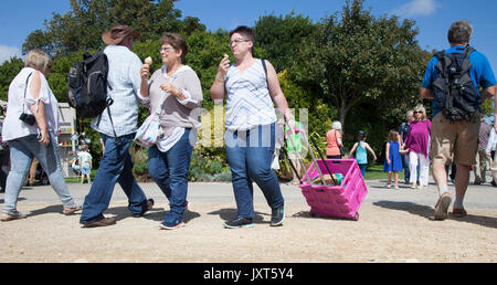 Southport, Merseyside, Royaume-Uni. Août 17, 2017. Jour d'ouverture de Southport Flower Show comme exposants, concepteurs, jardin floral et expositions Bienvenue à l'arrivée de jusqu'à 80 000 visiteurs attendus à ce célèbre événement annuel. /AlamyLiveNews MediaWorldImages crédit ; Banque D'Images