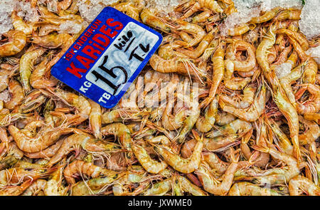 Karides (crevettes) assis sur un lit de glace pour la vente au marché intérieur Banque D'Images