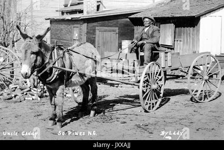 Portrait assis sur toute la longueur d'un homme afro-américain âgé assis en chariot porté par mule, portant une veste sombre, une veste foncée, un pantalon foncé et un chapeau, assis devant les cabines et du bois haché sur la terre, expression neutre, 1915. Banque D'Images