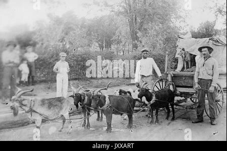 Portraits debout complets d'un homme blanc mature, d'un jeune homme afro-américain et de quatre jeunes hommes blancs, d'un homme blanc mature portant une chemise claire, un pantalon et un chapeau foncés, d'un homme afro-américain portant une chemise légère, un pantalon et une casquette foncés, de deux jeunes hommes blancs portant des chemises légères, des pantalons et des casquettes légers, deux autres jeunes hommes blancs portant des pantalons sombres, des chemises et des chapeaux, debout à côté d'un wagon avec un chien conduit par cinq chèvres, debout à l'extérieur sur la route de terre, expressions neutres, 1920. Banque D'Images