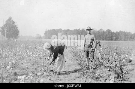 Portrait debout complet de femme afro-américaine et blanche mature sur le terrain, homme blanc portant une chemise légère, pantalon et chapeau, femme afro-américaine portant un chapeau, veste foncée et jupe légère, femme afro-américaine cueillant des récoltes sur le terrain, expression neutre, 1915. Banque D'Images