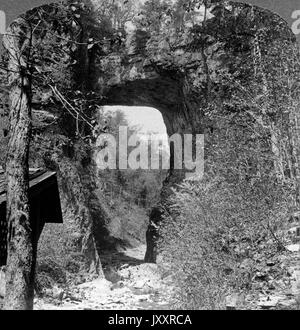 Natur der Schöpfung sonderbare : Naturbrücke dans Rockbridge County, Virginia, USA 1902. L'un des curieux de la nature structures : célèbre pont naturel, Rockbridge County, Virginia, USA 1902. Banque D'Images