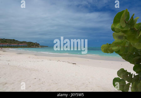 Mercer Creek Bay sur la côte de l'océan Atlantique tropical Caraïbes - Mer - Saint John's - Antigua-et-Barbuda Banque D'Images