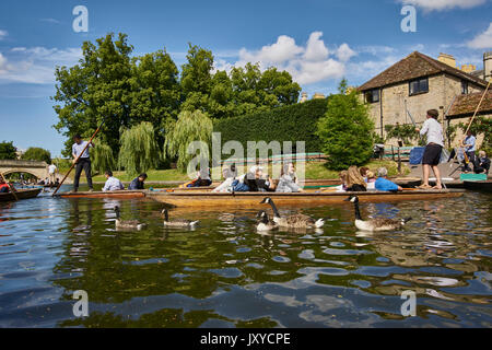 Scudamore & plates sur la rivière Cam, Cambridge. L'autonomie publique et parieurs en barque avec chauffeur. Les collèges universitaires et les bâtiments en arrière-plan. Banque D'Images