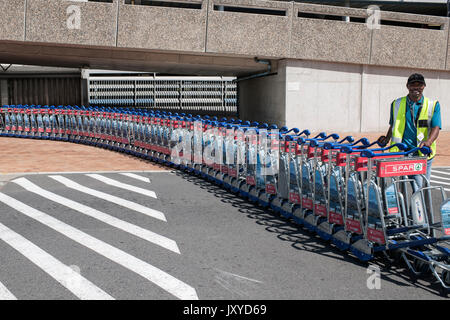 Chariots à bagages à l'aéroport international de Cape Town en Afrique du Sud. Banque D'Images