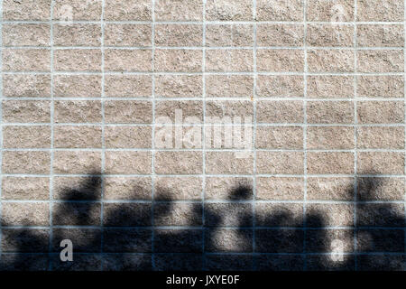 Old weathered brick wall dispose d''ombre des plantes à la base - texture ou d'arrière-plan Banque D'Images