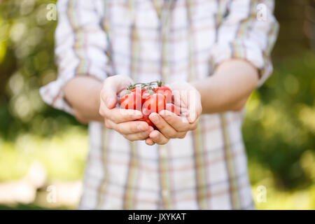 Jeune agronome en chemise à carreaux avec des tomates cerises dans les mains Banque D'Images