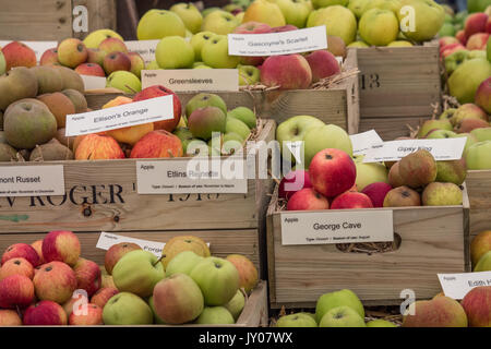 Les variétés de pommes nommé affichée à l'afficher. Worcestershire, Angleterre. United Kingdom. Banque D'Images