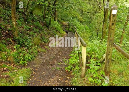 Chemin de pied Banque D'Images