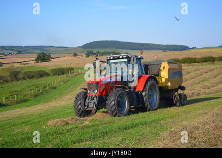 Massey Ferguson MF6480 avec la ramasseuse-presse Banque D'Images