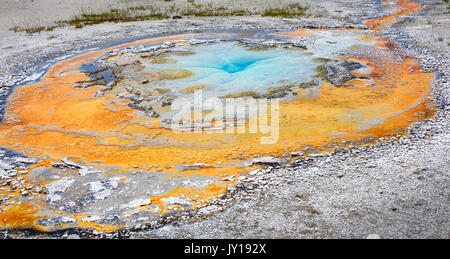 Geyser en retard dans l'angle supérieur geyser Basin, parc national de Yellowstone, États-Unis Banque D'Images