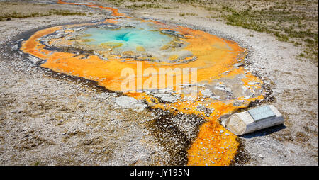 Tardy colorés dans la partie supérieure du geyser geyser Basin, parc national de Yellowstone, États-Unis Banque D'Images