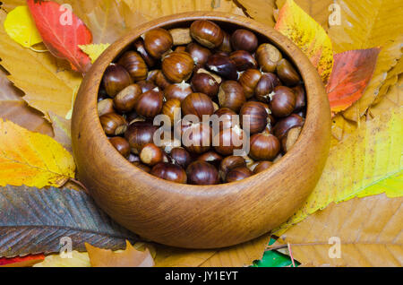 Châtaignes dans un bol en bois rond, situé sur une pile de feuilles de couleur différente. Banque D'Images