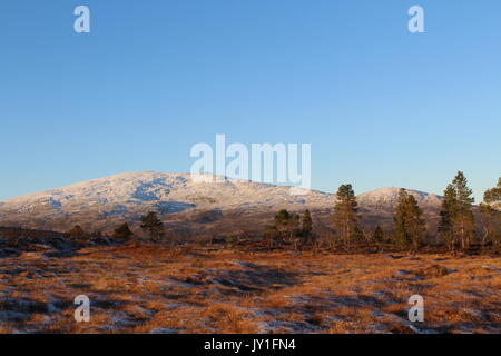 Les champs et les montagnes à l'extérieur dans le Nord de la Norvège Tromso Banque D'Images