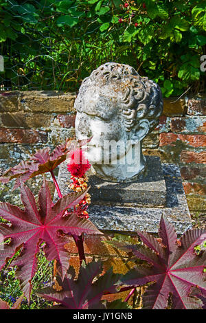 Ricinus communis 'carmencita' rouge vif à côté d'une usine en chef romain. Banque D'Images