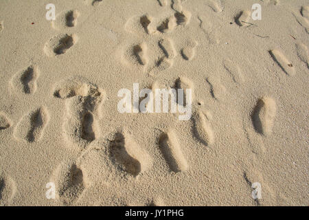 De nombreuses empreintes de pas sur la plage, sable Banque D'Images